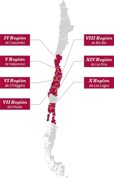 Ingreso y hogares Ingreso y hogares