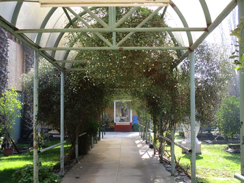 Hogar San Carlos, Recoleta Hogar San Carlos, Recoleta