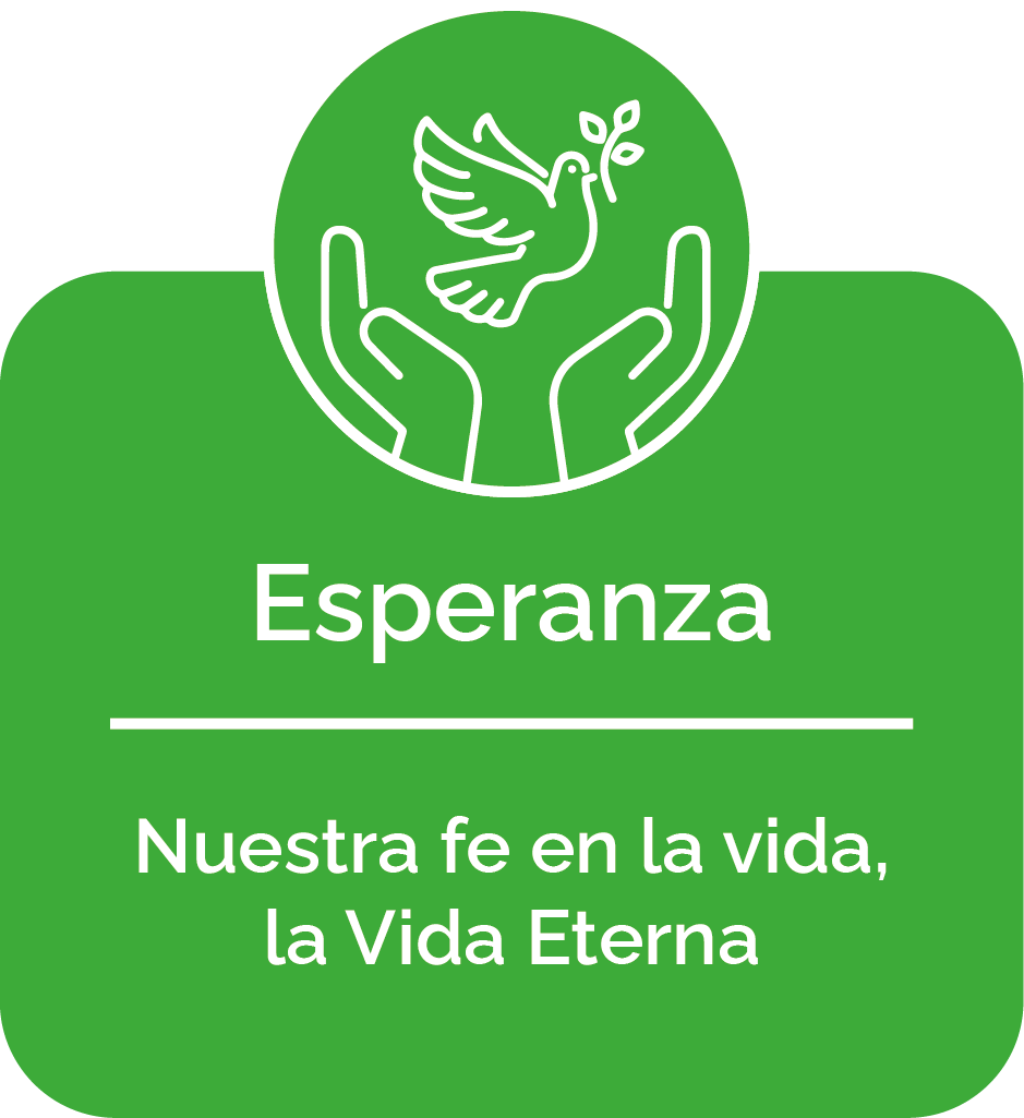 valores-flr_2024 valores-flr_2024